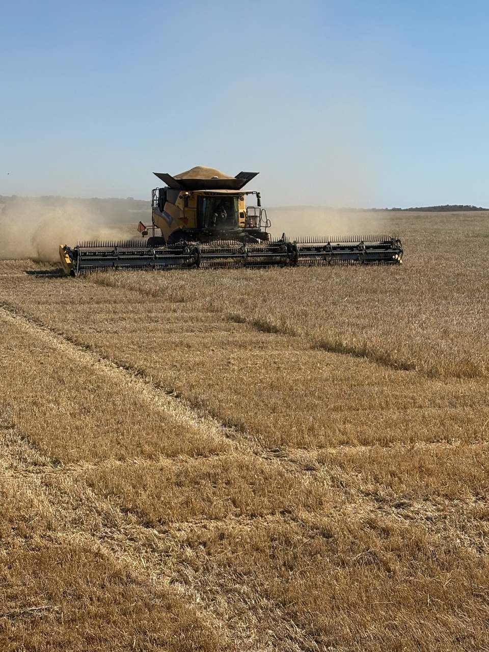 Hiscock's / O'Dea's / Zanker's Roads, NETHERBY via NHILL – WEST WIMMERA For Sale by Farmbuy.com - image 2