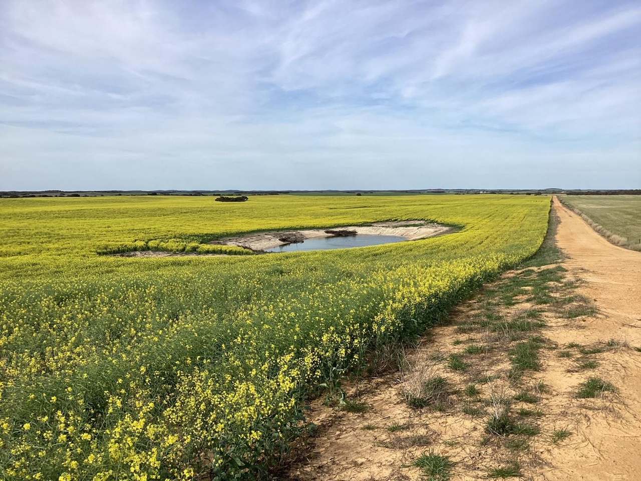 Hiscock's / O'Dea's / Zanker's Roads, NETHERBY via NHILL – WEST WIMMERA For Sale by Farmbuy.com - image 22
