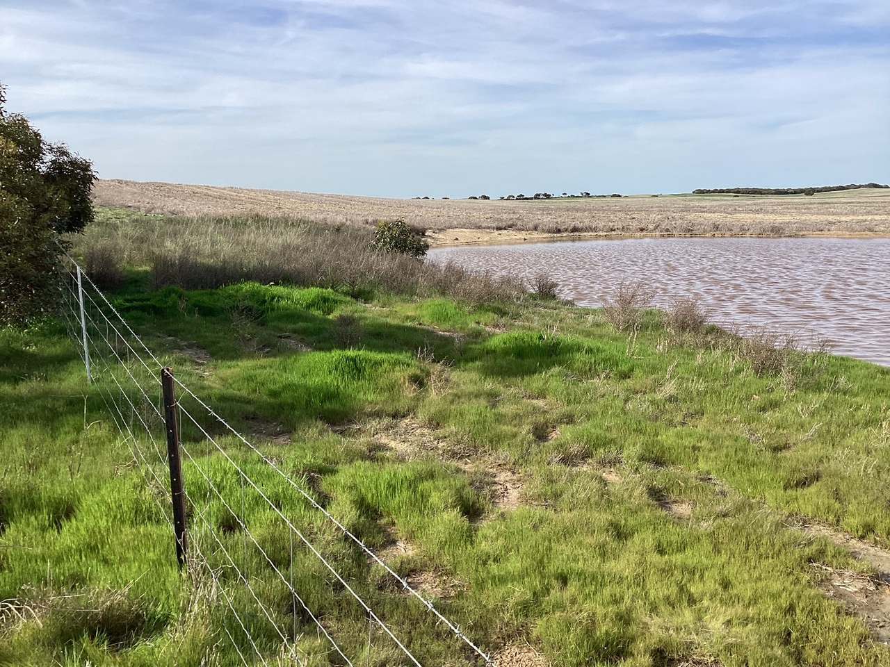 Hiscock's / O'Dea's / Zanker's Roads, NETHERBY via NHILL – WEST WIMMERA For Sale by Farmbuy.com - image 11