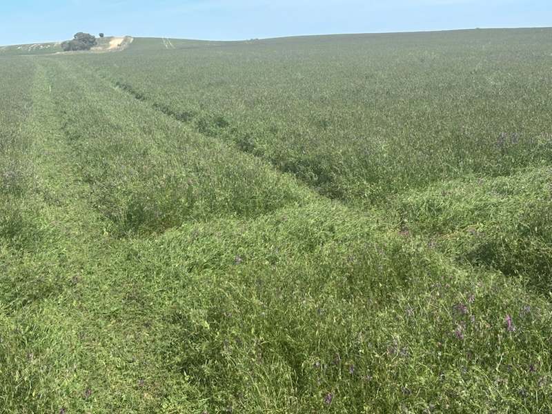 Hiscock's / O'Dea's / Zanker's Roads, NETHERBY via NHILL – WEST WIMMERA For Sale by Farmbuy.com - image 29