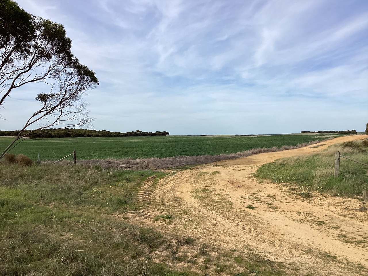 Hiscock's / O'Dea's / Zanker's Roads, NETHERBY via NHILL – WEST WIMMERA For Sale by Farmbuy.com - image 14