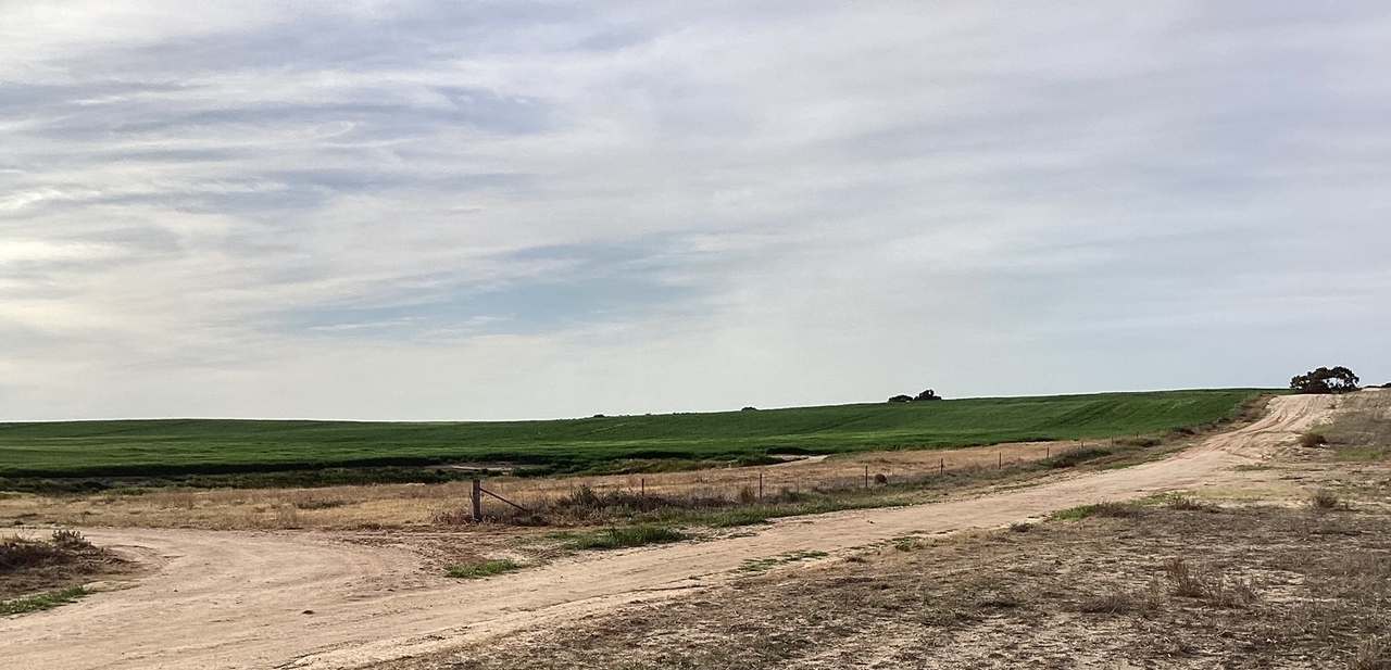 Hiscock's / O'Dea's / Zanker's Roads, NETHERBY via NHILL – WEST WIMMERA For Sale by Farmbuy.com - image 15