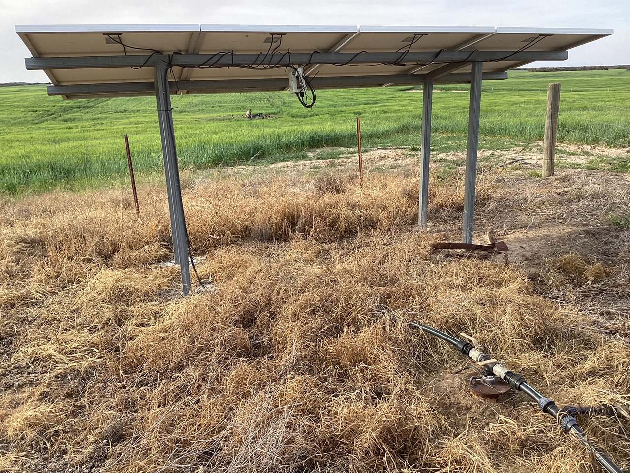 Hiscock's / O'Dea's / Zanker's Roads, NETHERBY via NHILL – WEST WIMMERA For Sale by Farmbuy.com - image 7