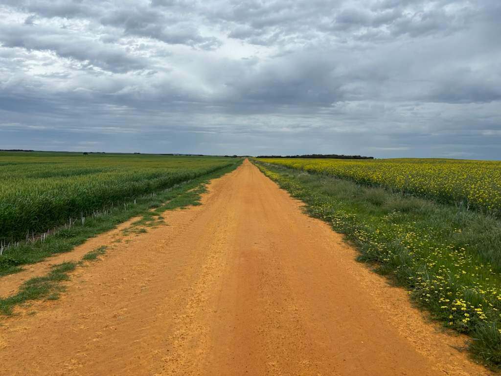 Hiscock's / O'Dea's / Zanker's Roads, NETHERBY via NHILL – WEST WIMMERA For Sale by Farmbuy.com - image 18