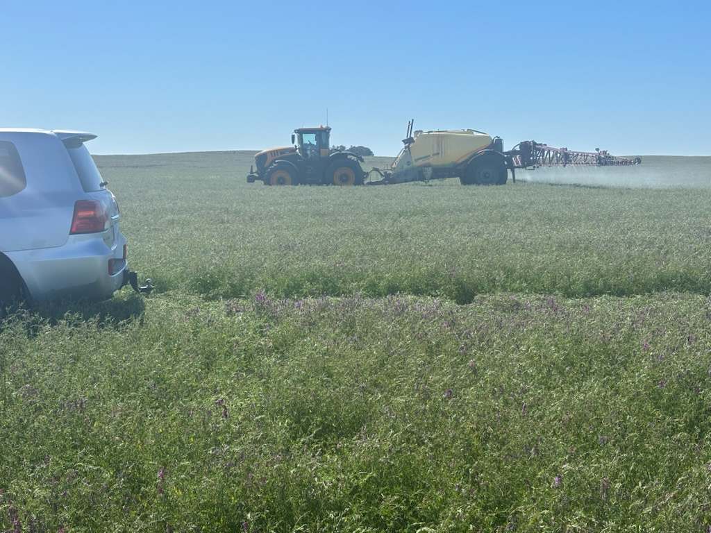 Hiscock's / O'Dea's / Zanker's Roads, NETHERBY via NHILL – WEST WIMMERA For Sale by Farmbuy.com - image 25