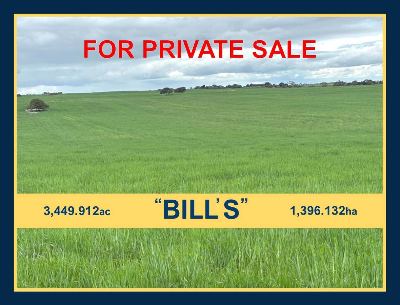 Hiscock's / O'Dea's / Zanker's Roads, NETHERBY via NHILL – WEST WIMMERA For Sale by Farmbuy.com - image 1