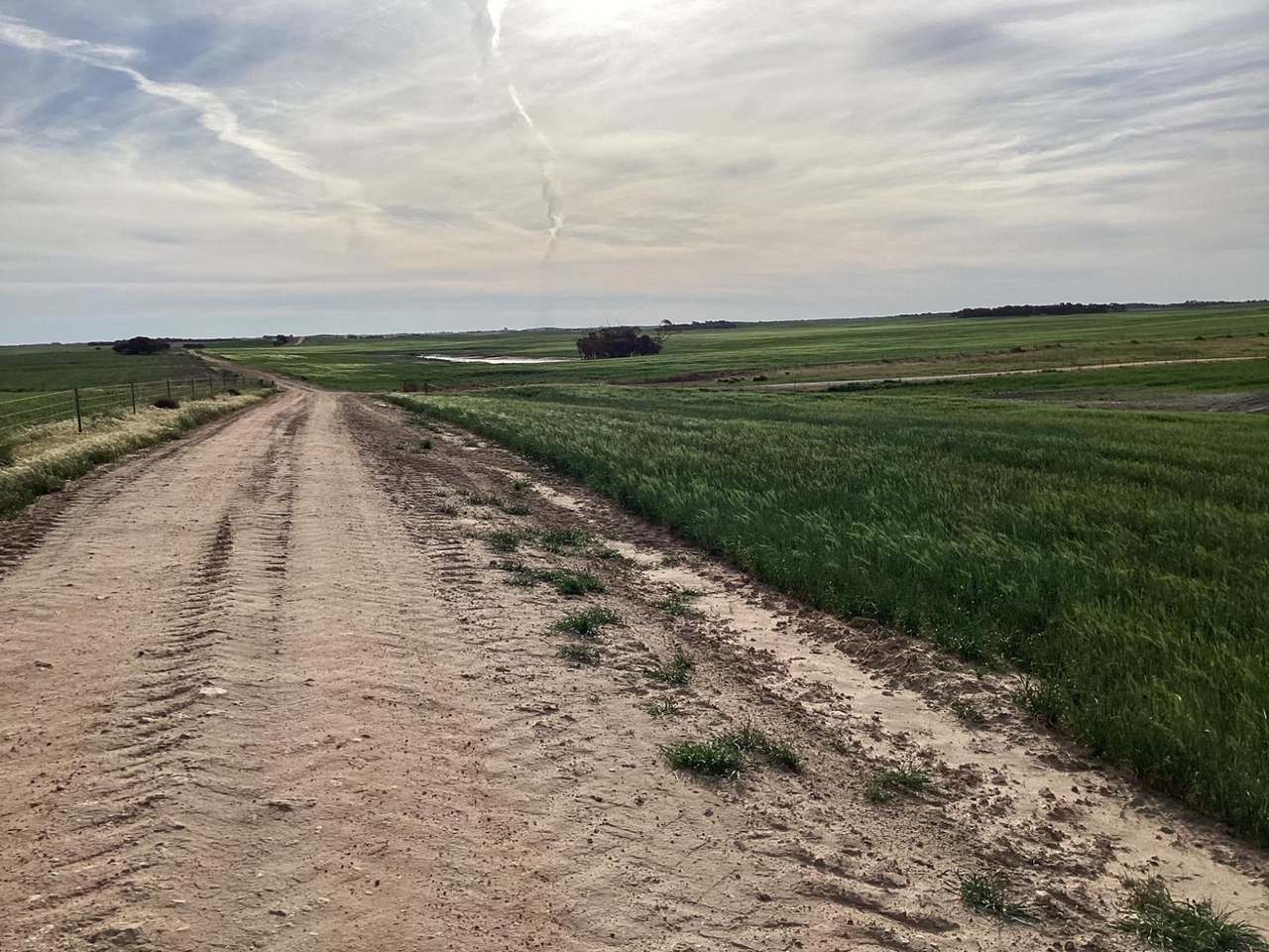Hiscock's / O'Dea's / Zanker's Roads, NETHERBY via NHILL – WEST WIMMERA For Sale by Farmbuy.com - image 23