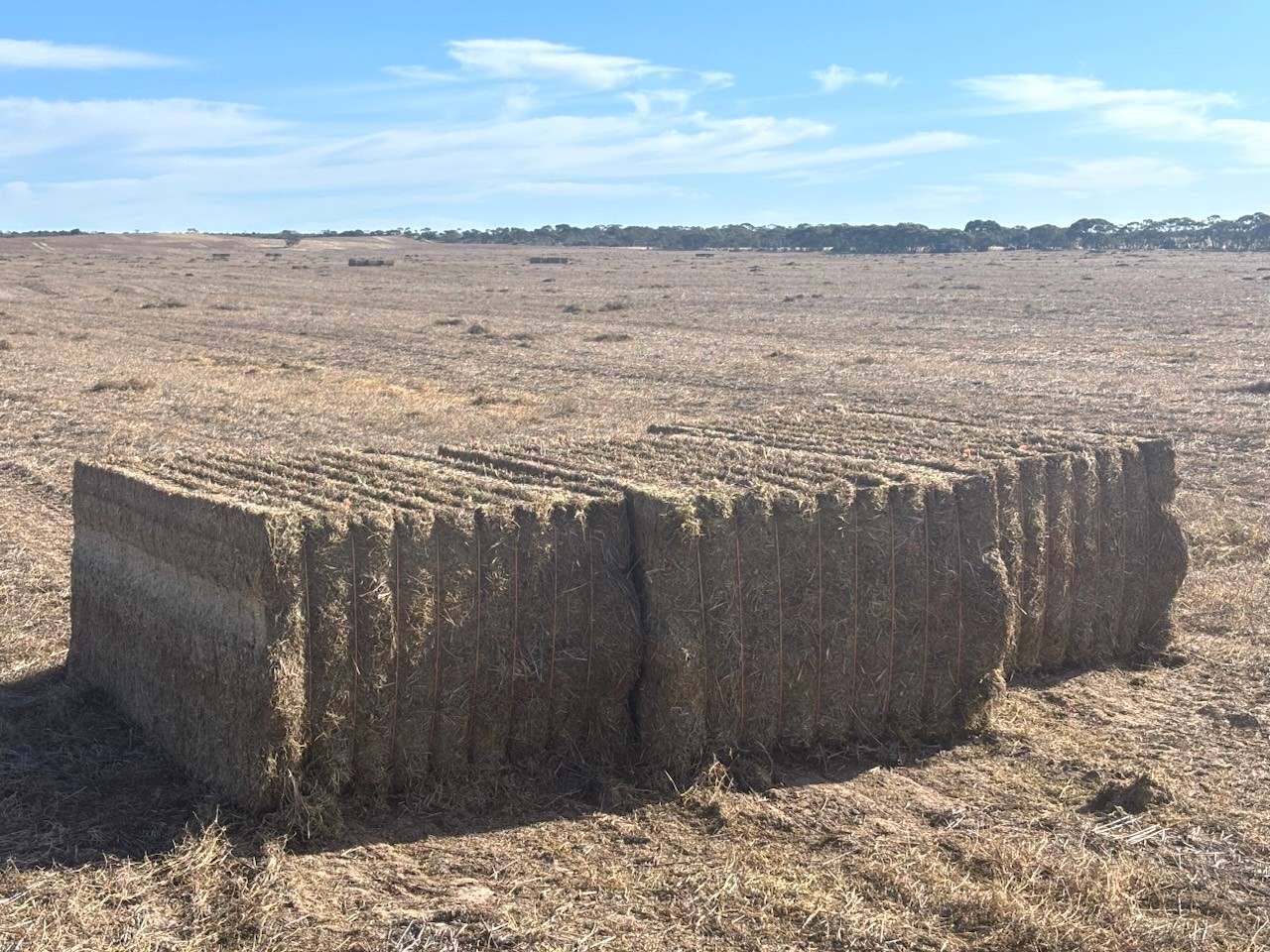 Hiscock's / O'Dea's / Zanker's Roads, NETHERBY via NHILL – WEST WIMMERA For Sale by Farmbuy.com - image 20