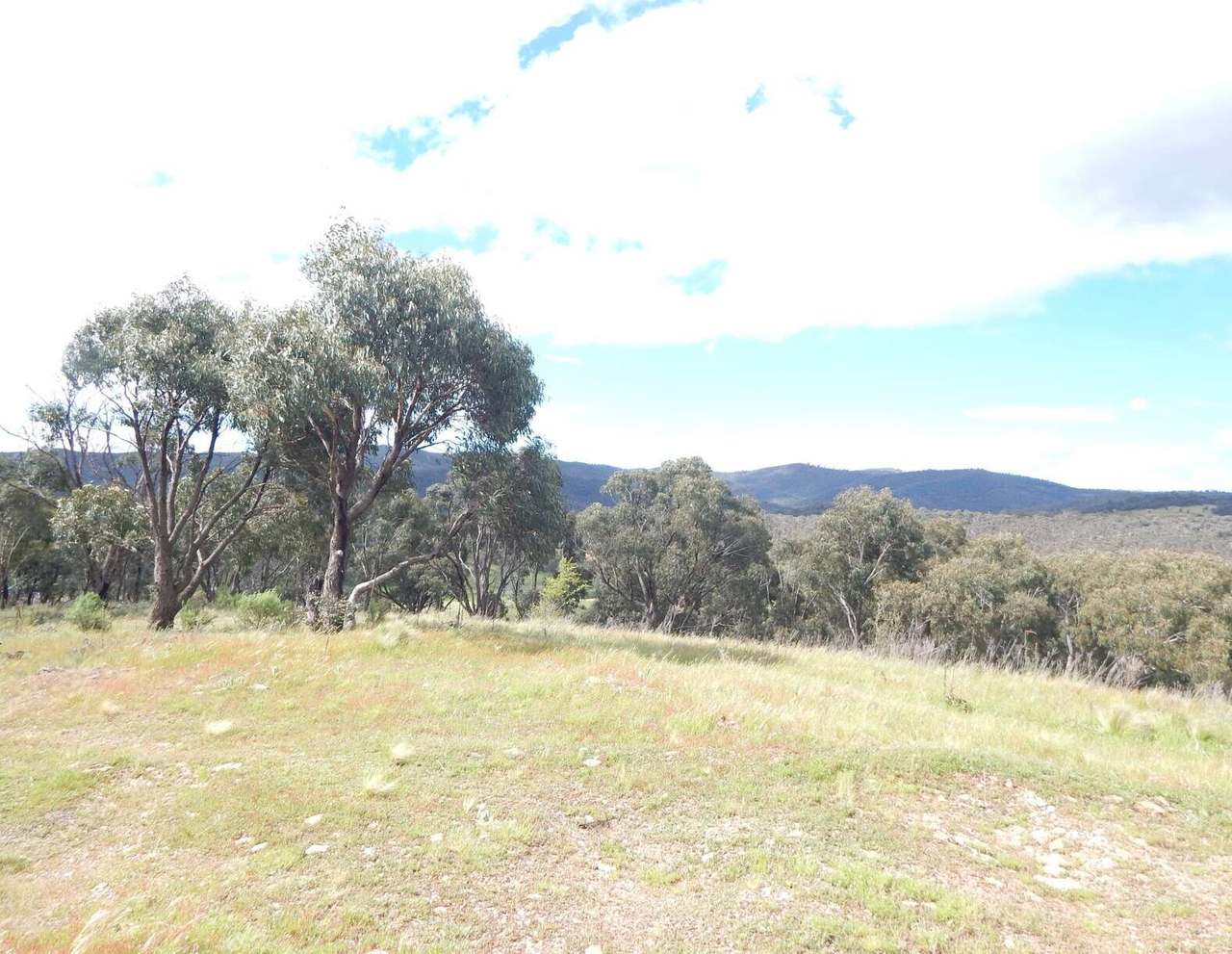 Lot 37 Good Good Road, Peak View Sold by Farmbuy.com - image 5
