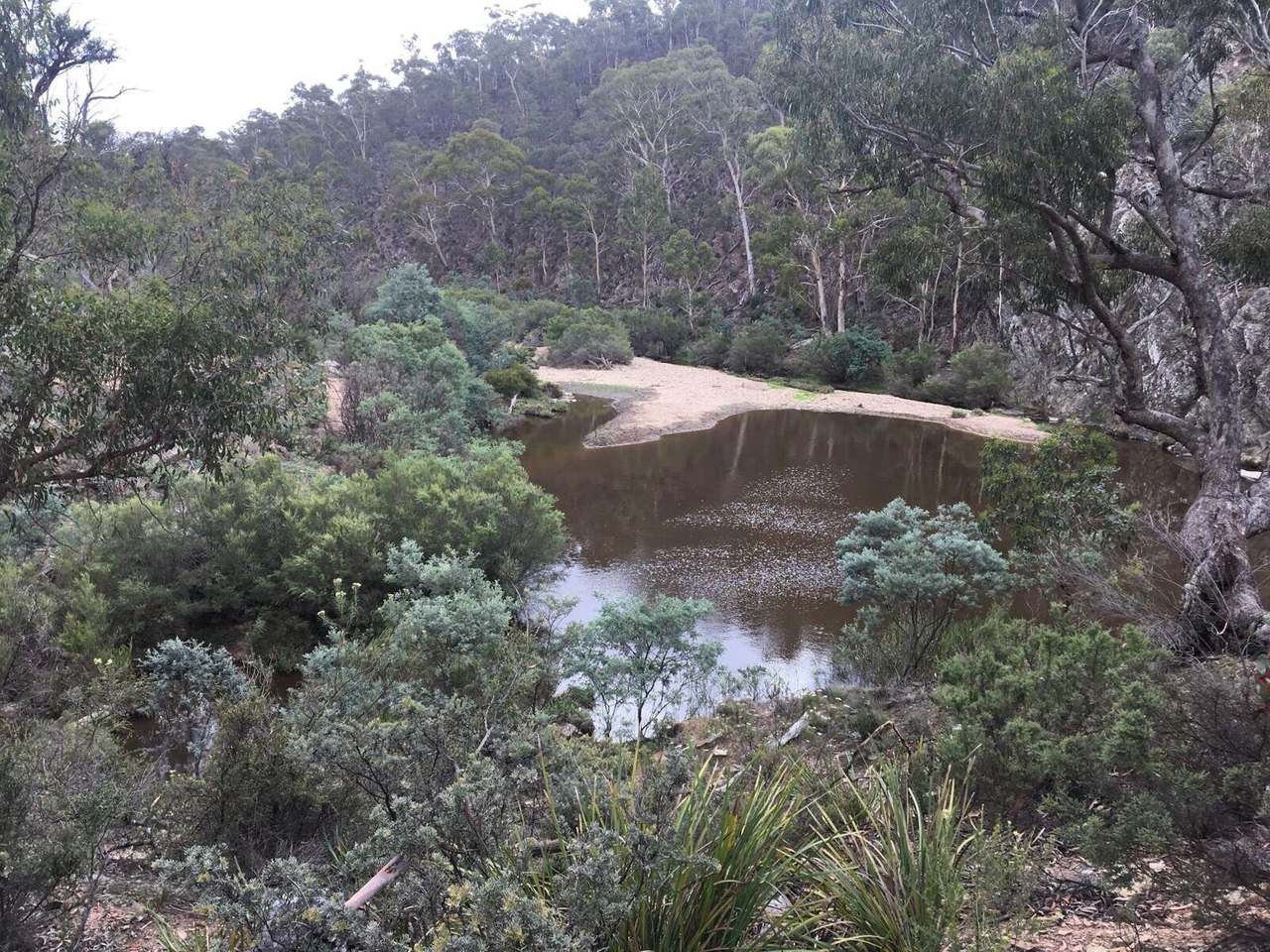 Lot 37 Good Good Road, Peak View Sold by Farmbuy.com - image 10