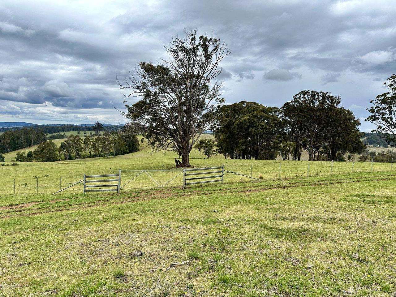 967 Tops Road, Nowendoc For Sale by Farmbuy.com - image 5