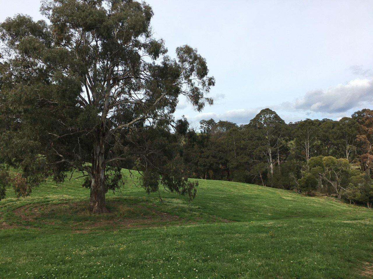 967 Tops Road, Nowendoc For Sale by Farmbuy.com - image 4