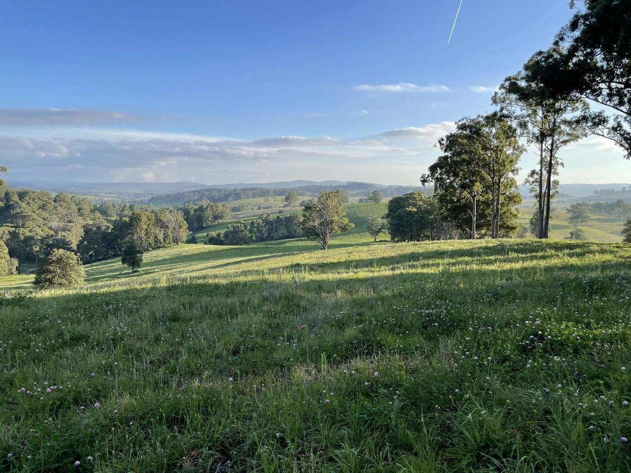 967 Tops Road, Nowendoc For Sale by Farmbuy.com - image 8