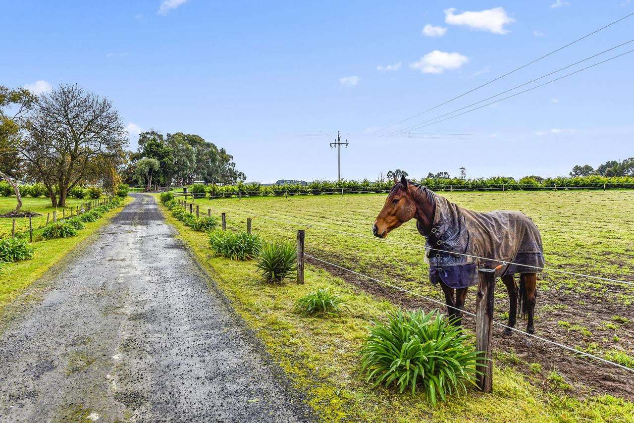 286 Lange Road , Yahl For Sale by Farmbuy.com - image 14