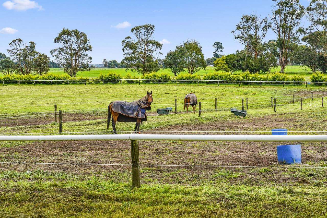 286 Lange Road , Yahl For Sale by Farmbuy.com - image 15