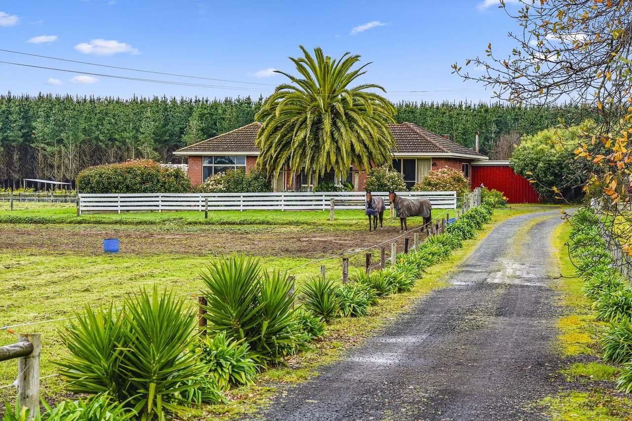 286 Lange Road , Yahl For Sale by Farmbuy.com - image 5