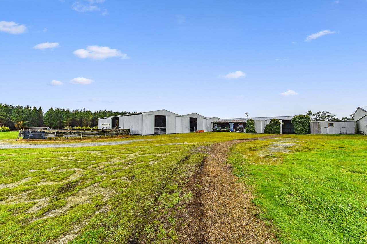 286 Lange Road , Yahl For Sale by Farmbuy.com - image 13