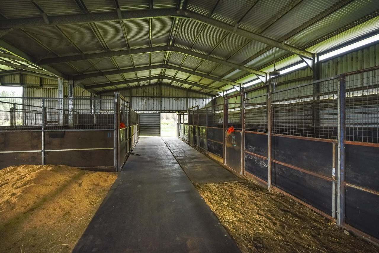 286 Lange Road , Yahl For Sale by Farmbuy.com - image 17