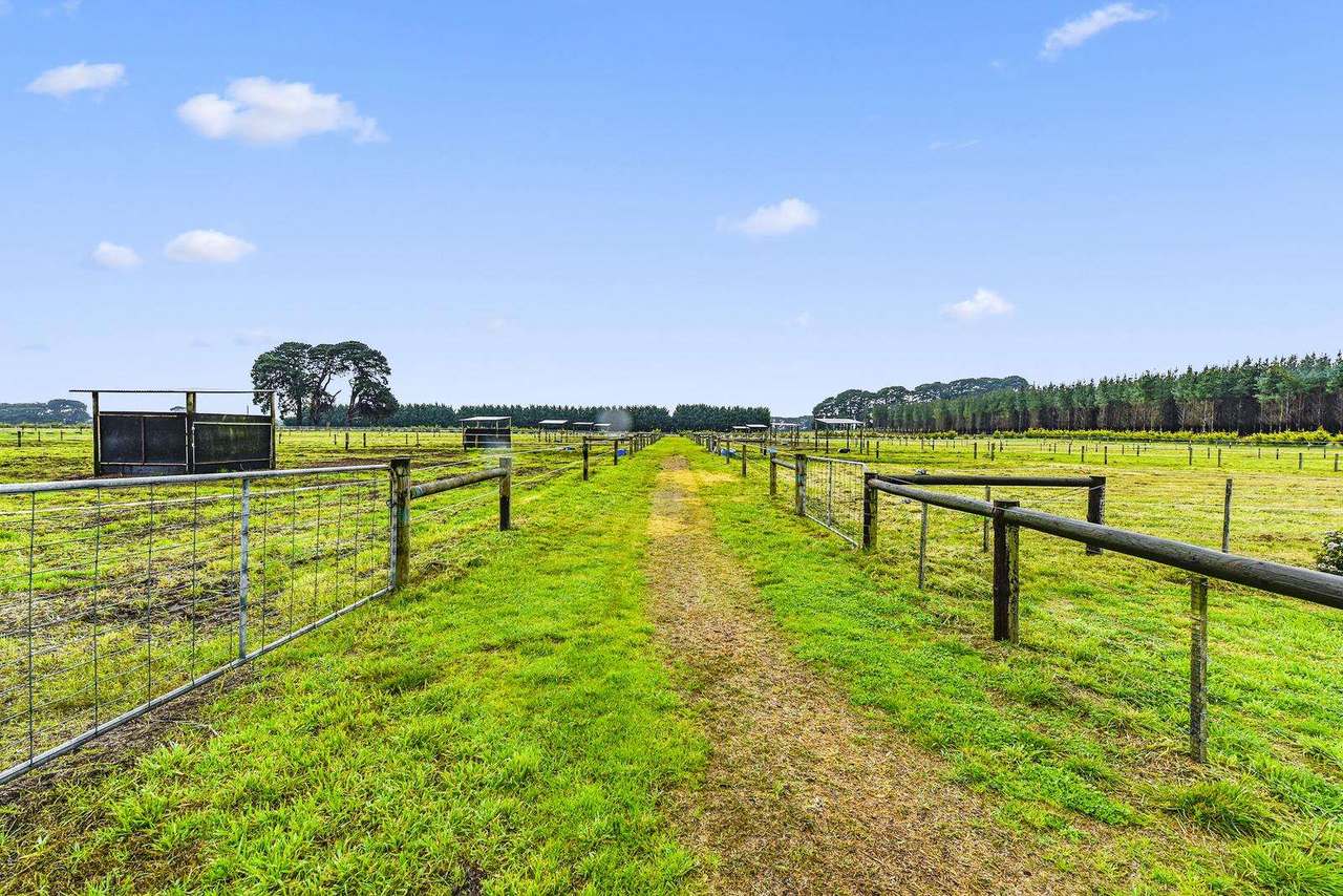 286 Lange Road , Yahl For Sale by Farmbuy.com - image 12