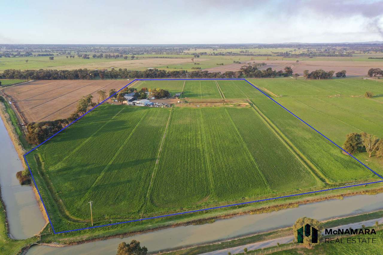 5320 Barmah Shepparton Road, Bunbartha For Sale by Farmbuy.com - image 4