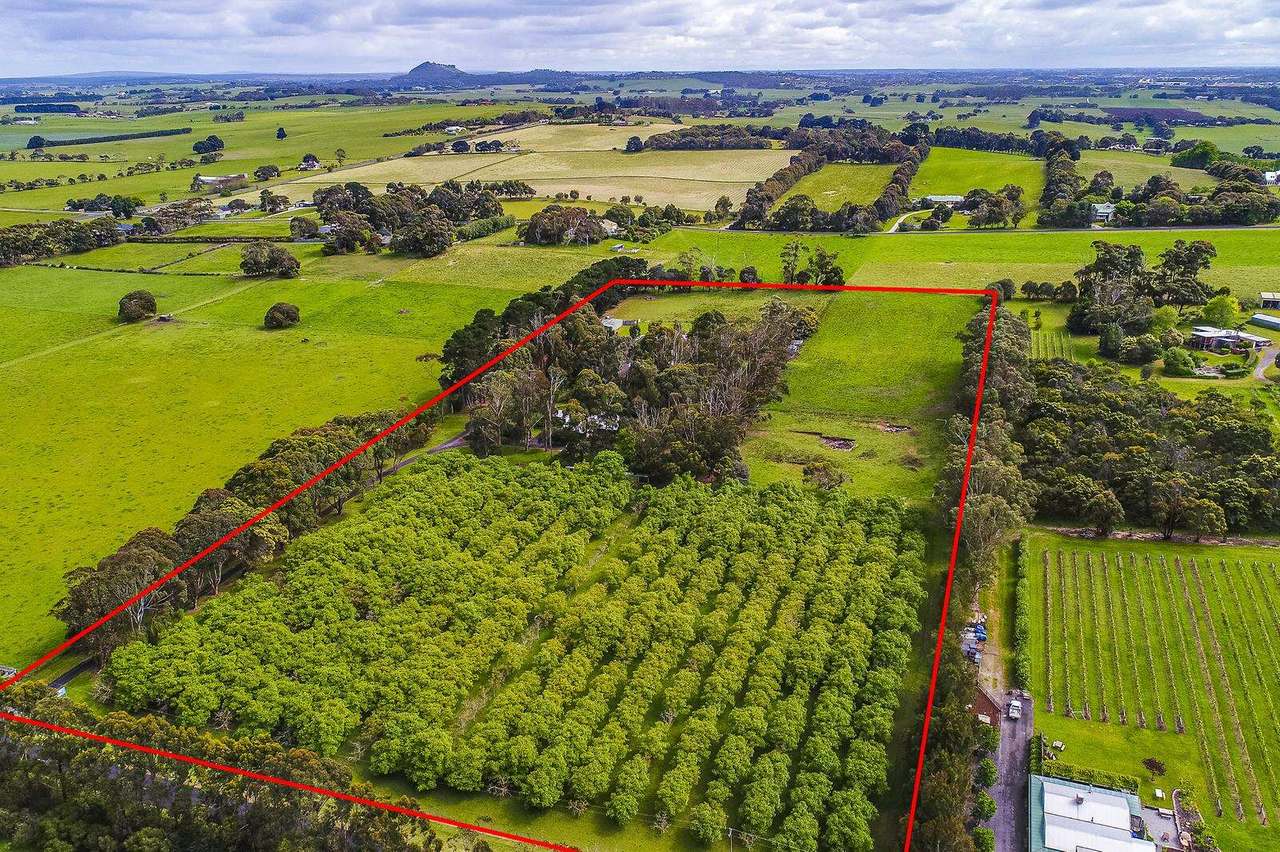 59 Clarke Road , OB Flat For Sale by Farmbuy.com - image 5