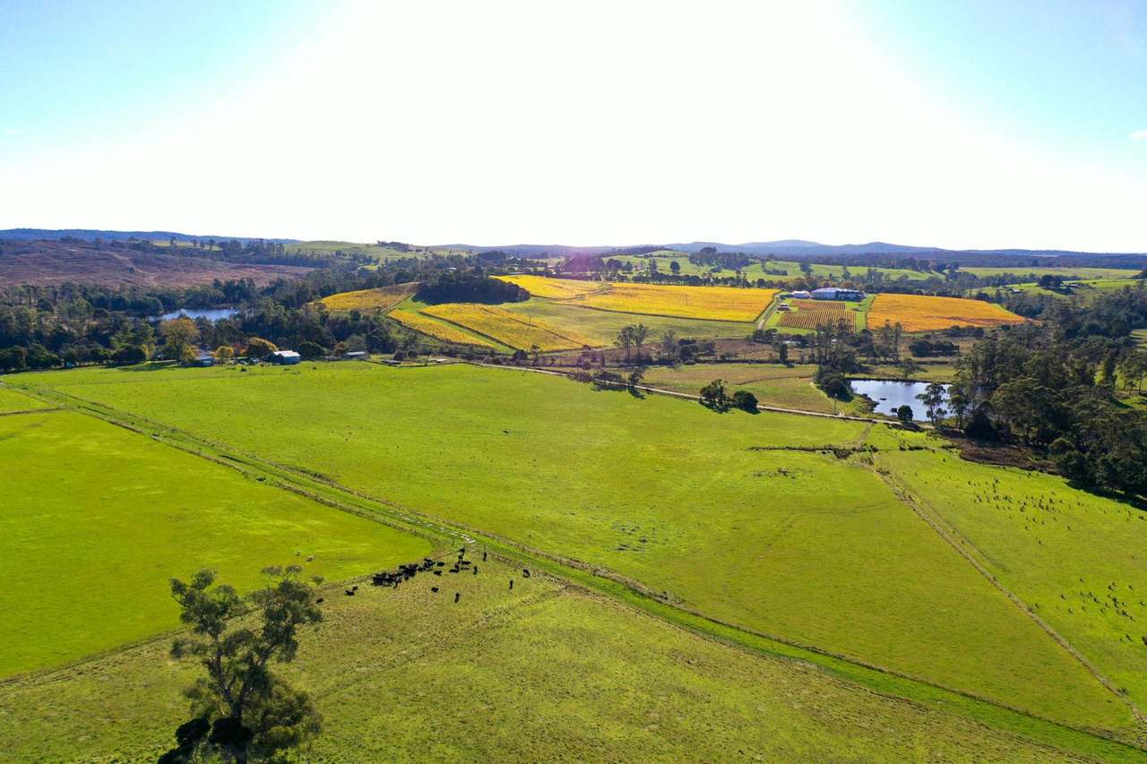 120 Security Road, Pipers River For Sale by Farmbuy.com - image 5
