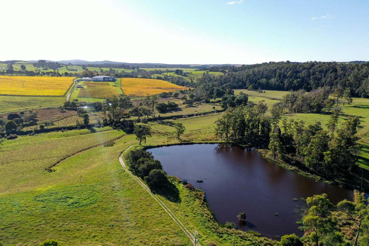 120 Security Road, Pipers River For Sale by Farmbuy.com - image 9