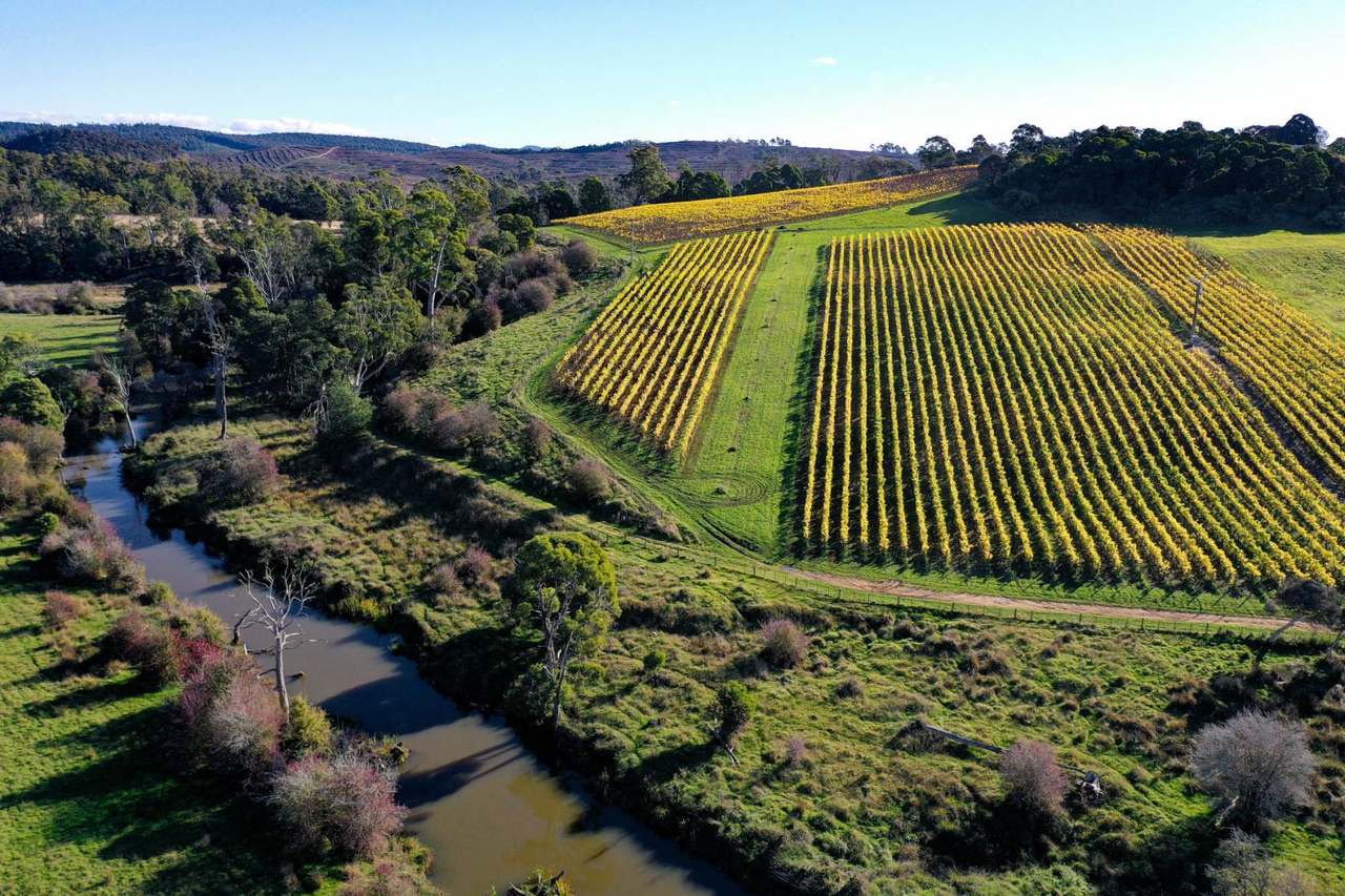 120 Security Road, Pipers River For Sale by Farmbuy.com - image 7