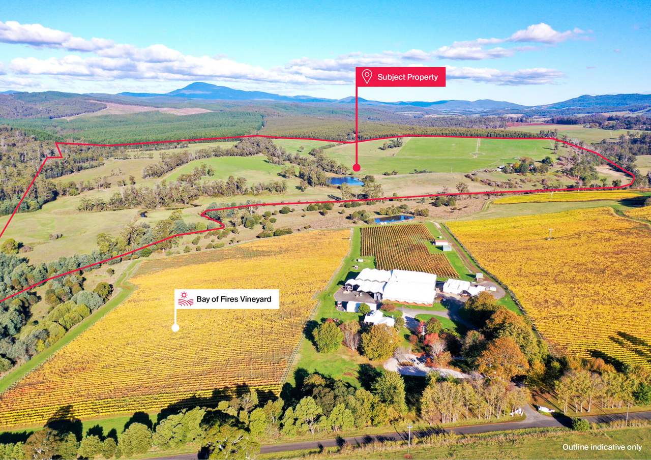 120 Security Road, Pipers River For Sale by Farmbuy.com - image 2