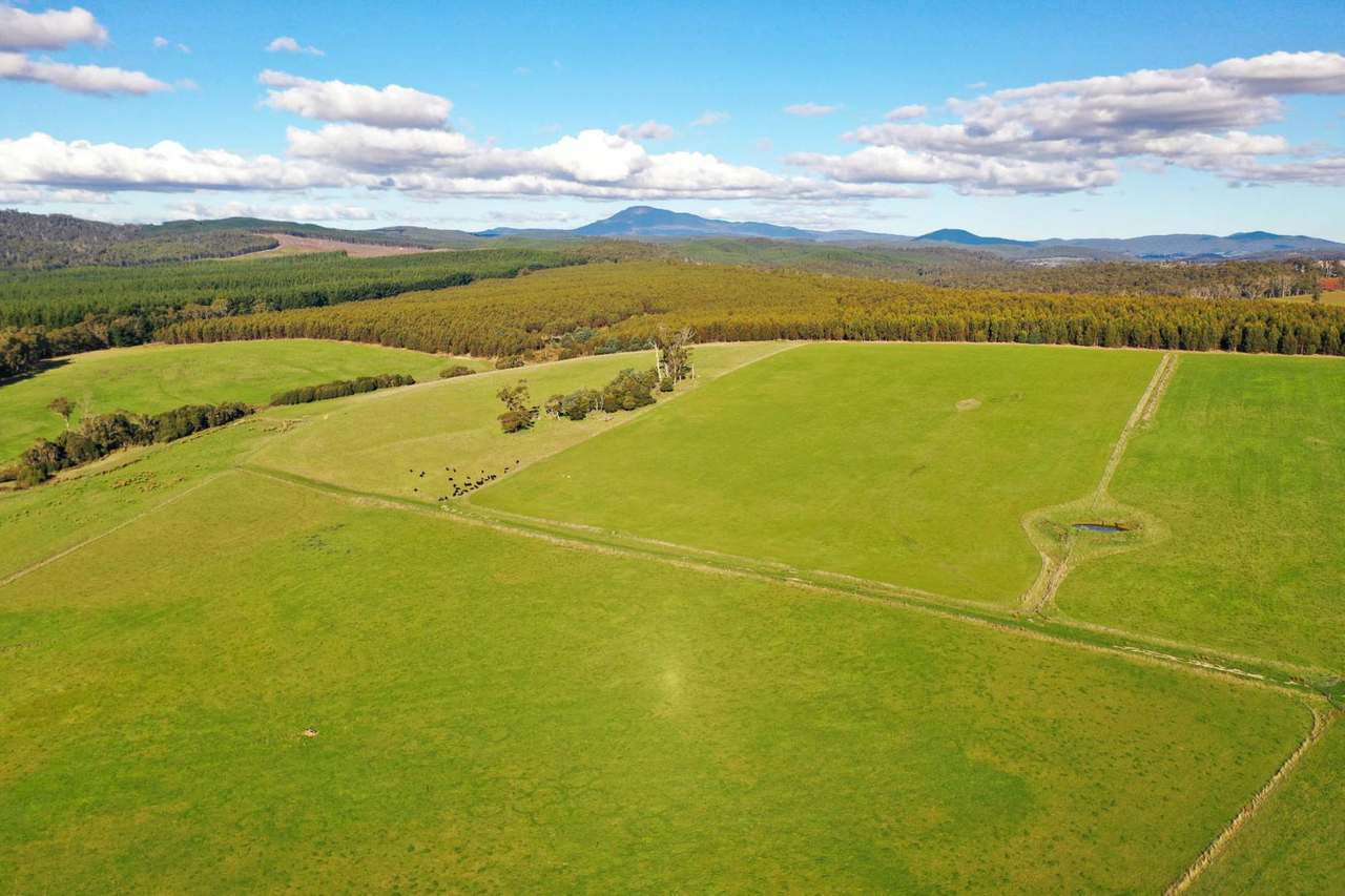 120 Security Road, Pipers River For Sale by Farmbuy.com - image 6