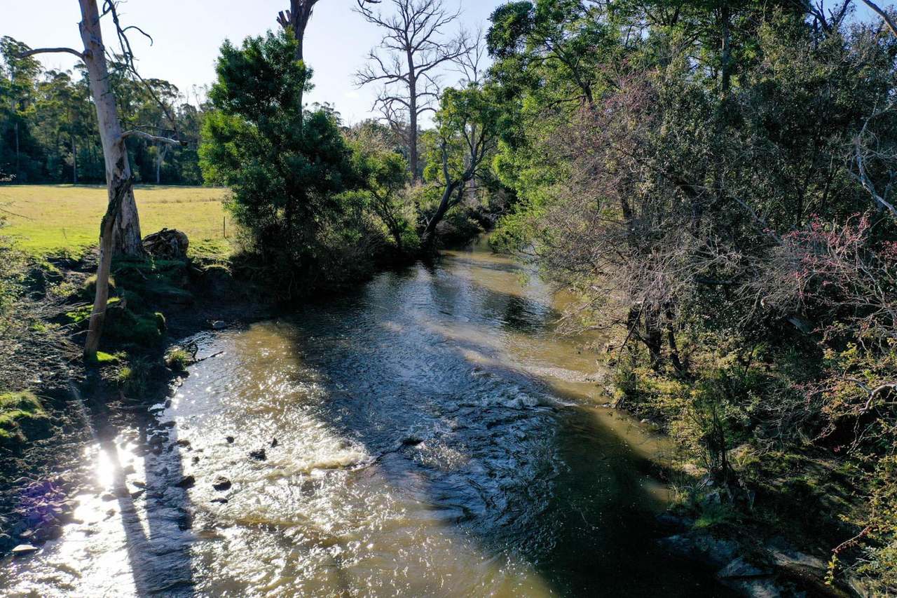 120 Security Road, Pipers River For Sale by Farmbuy.com - image 10