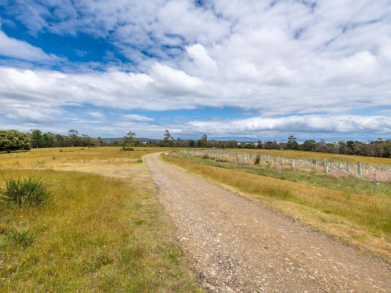 Lot 10 Bruny Island Main Road, Lunawanna Sold by Farmbuy.com - image 5