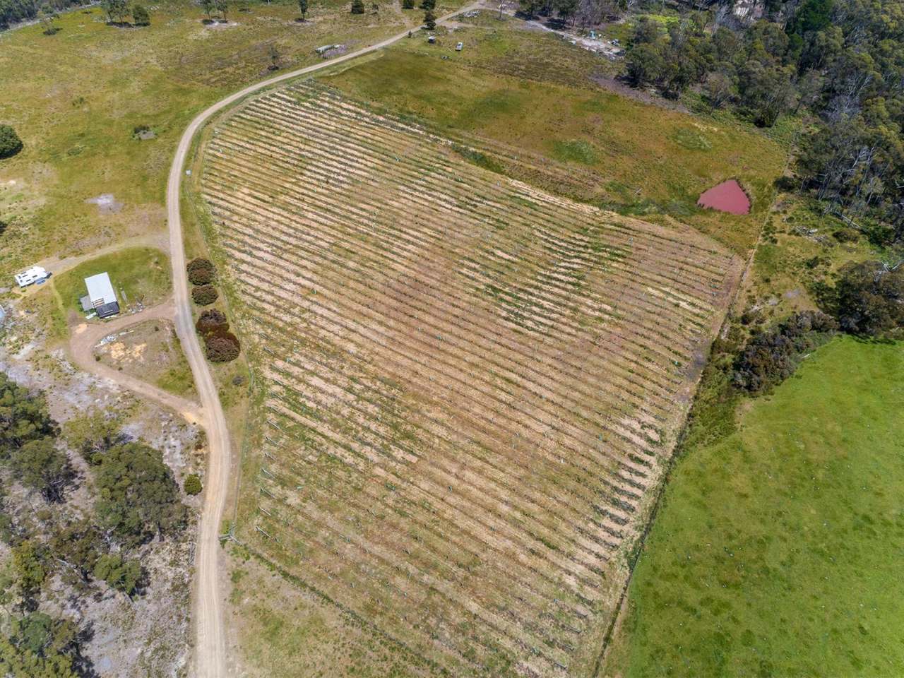 Lot 10 Bruny Island Main Road, Lunawanna Sold by Farmbuy.com - image 6