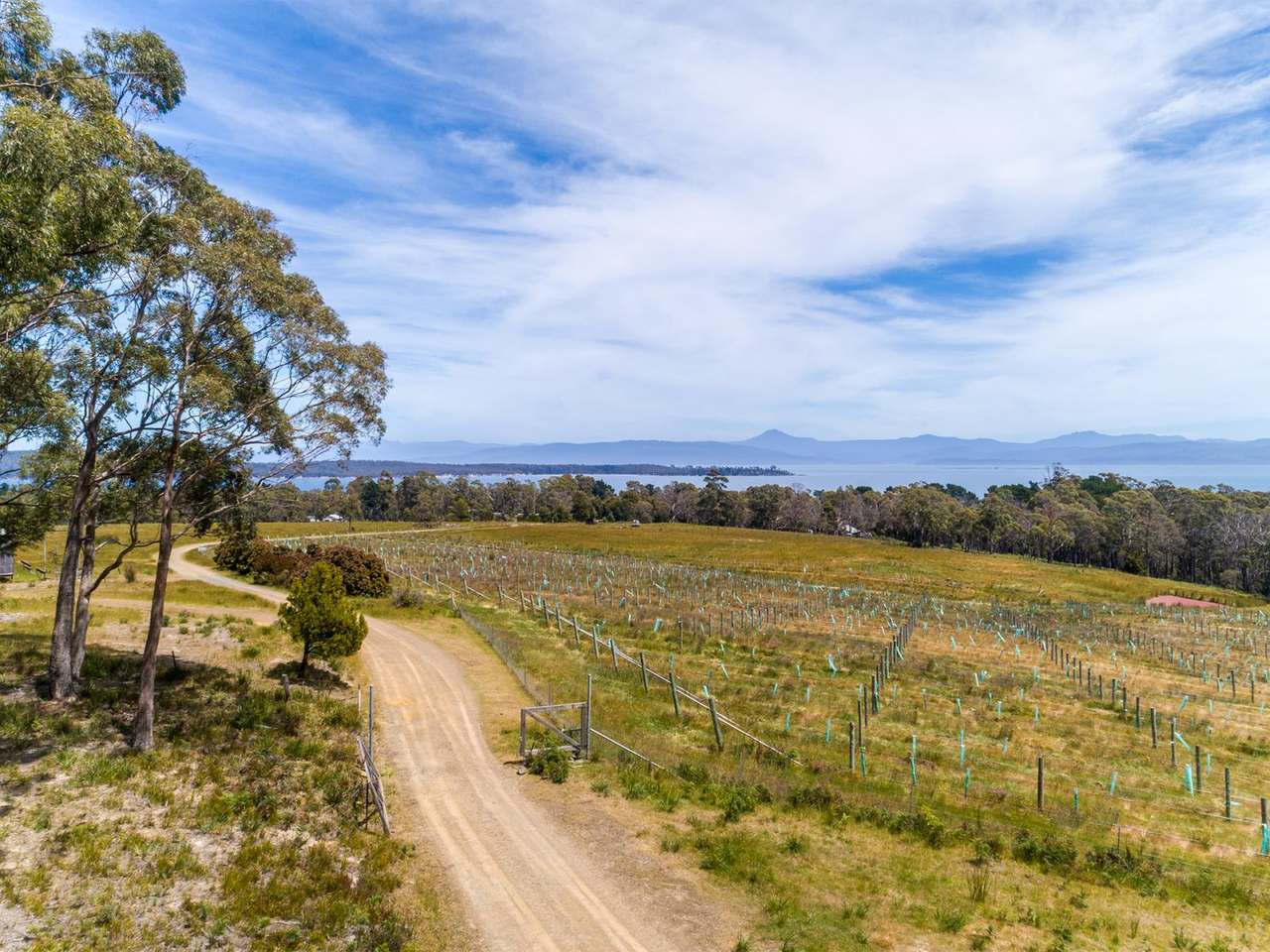 Lot 10 Bruny Island Main Road, Lunawanna Sold by Farmbuy.com - image 14