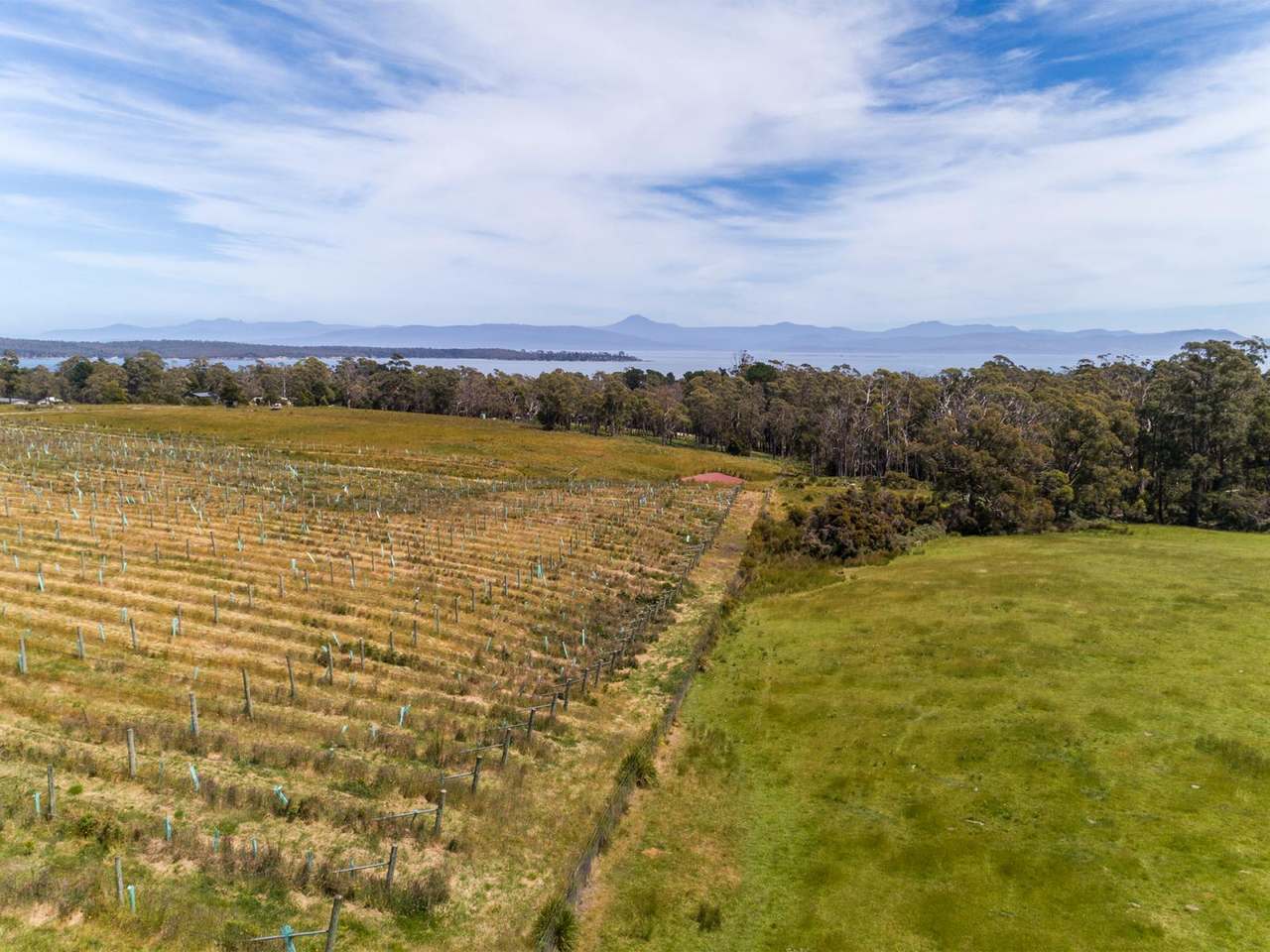 Lot 10 Bruny Island Main Road, Lunawanna Sold by Farmbuy.com - image 11