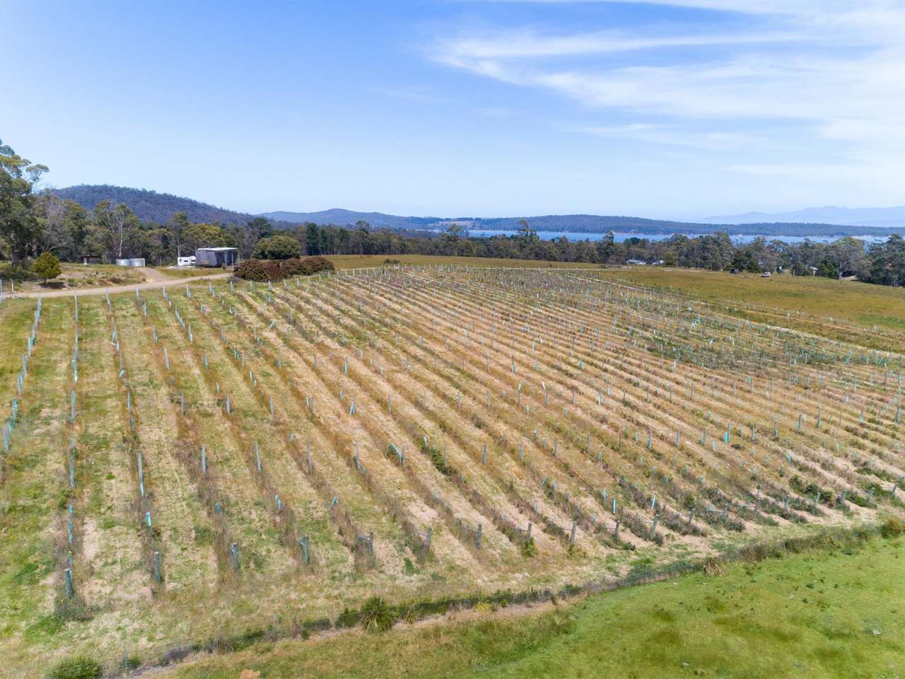 Lot 10 Bruny Island Main Road, Lunawanna Sold by Farmbuy.com - image 8