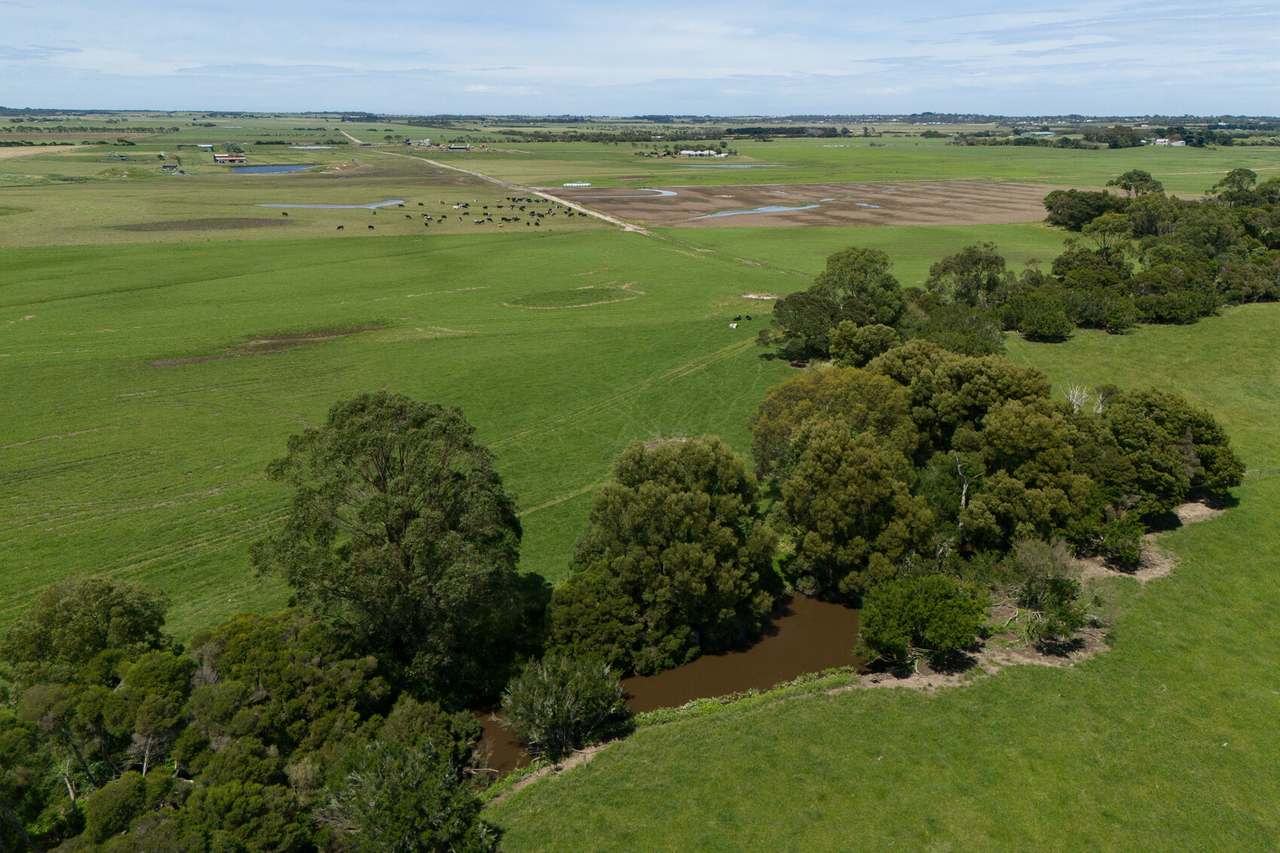 95 Lynnes Rd, St Clair For Sale by Farmbuy.com - image 11