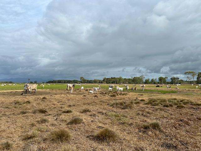 "Leighstone", Forrest Beach  Sold by Farmbuy.com - image 8