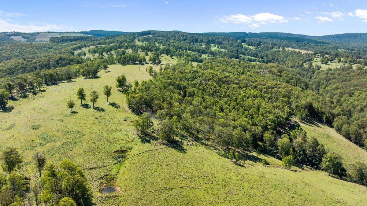 9485 Thunderbolts Way, Nowendoc Auction by Farmbuy.com - image 15