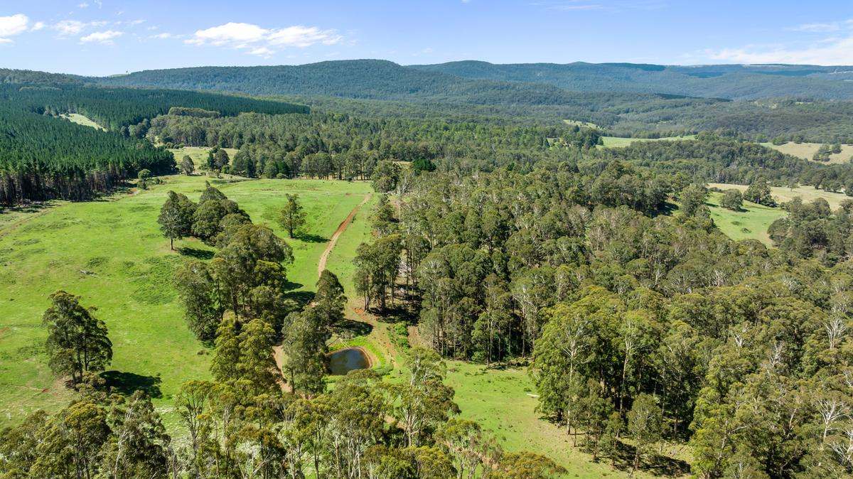 9485 Thunderbolts Way, Nowendoc Auction by Farmbuy.com - image 12