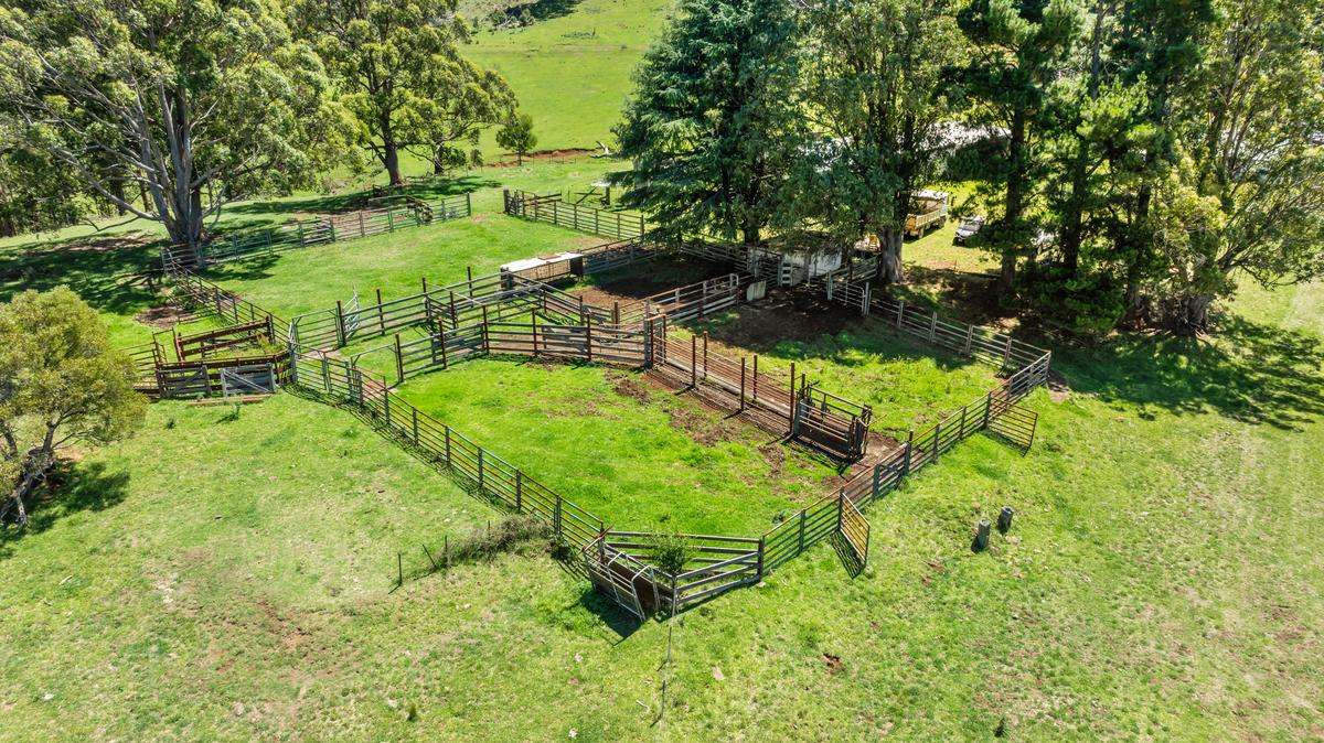 9485 Thunderbolts Way, Nowendoc Auction by Farmbuy.com - image 5