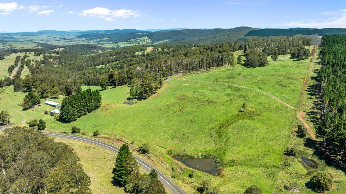 9485 Thunderbolts Way, Nowendoc Auction by Farmbuy.com - image 10