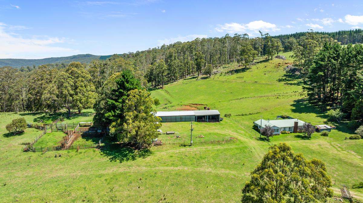 9485 Thunderbolts Way, Nowendoc Auction by Farmbuy.com - image 9
