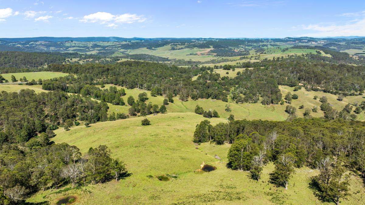 9485 Thunderbolts Way, Nowendoc Auction by Farmbuy.com - image 14