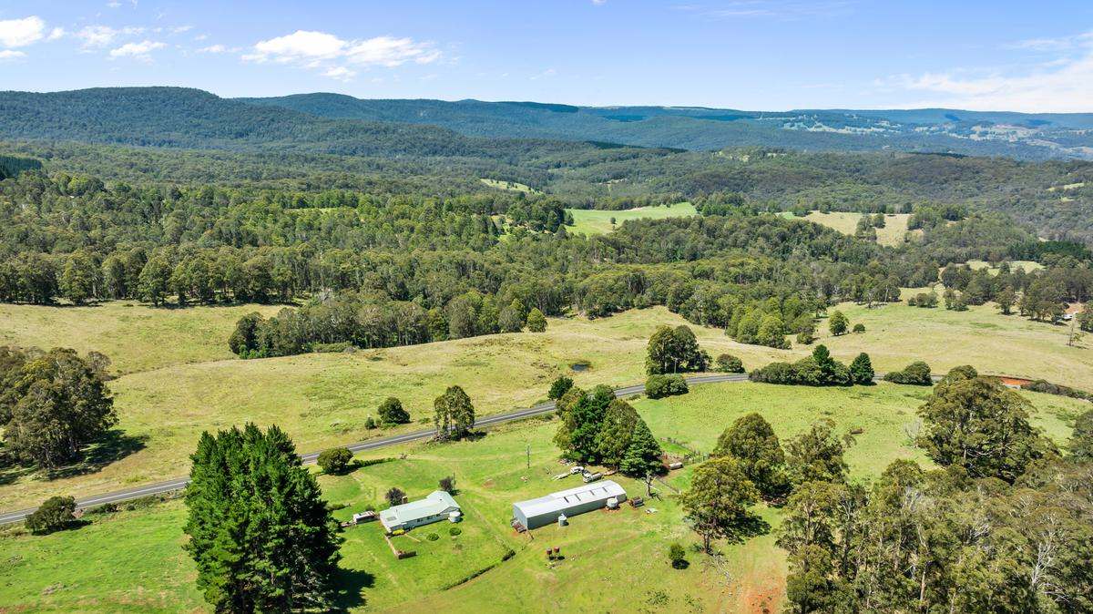 9485 Thunderbolts Way, Nowendoc Auction by Farmbuy.com - image 23