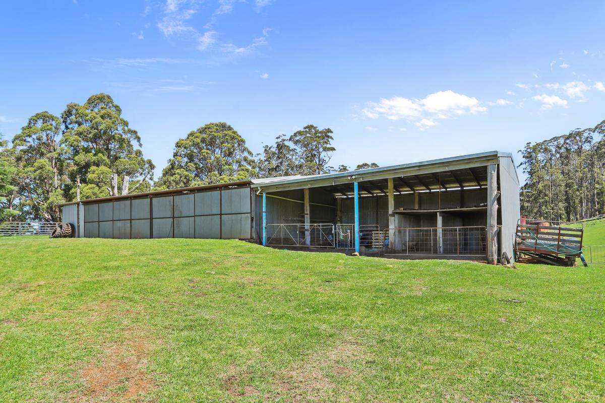 9485 Thunderbolts Way, Nowendoc Auction by Farmbuy.com - image 4