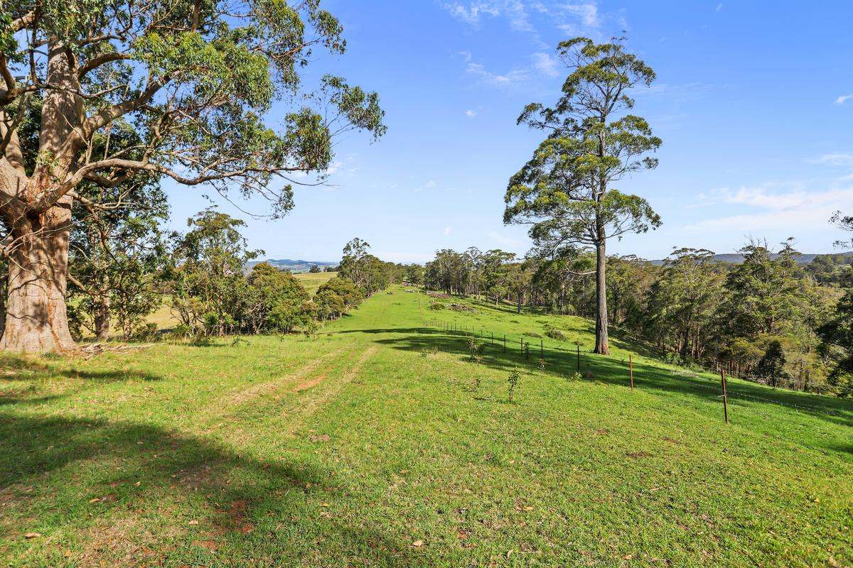 9485 Thunderbolts Way, Nowendoc Auction by Farmbuy.com - image 22