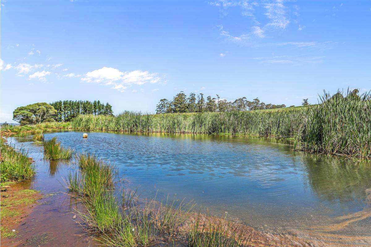 9485 Thunderbolts Way, Nowendoc Auction by Farmbuy.com - image 18