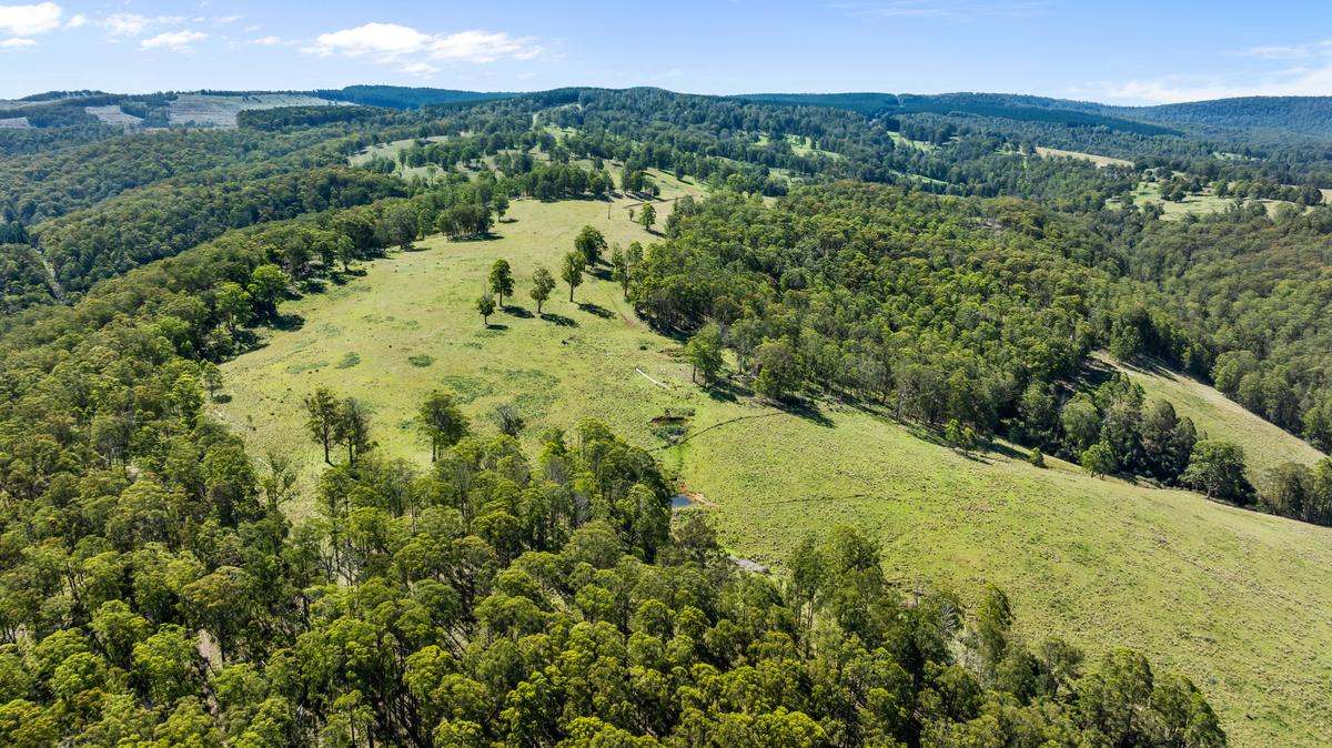 9485 Thunderbolts Way, Nowendoc Auction by Farmbuy.com - image 16
