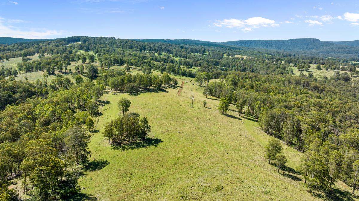 9485 Thunderbolts Way, Nowendoc Auction by Farmbuy.com - image 13